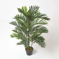 Areca Palm Tree In Pot, 120 Cm Tall