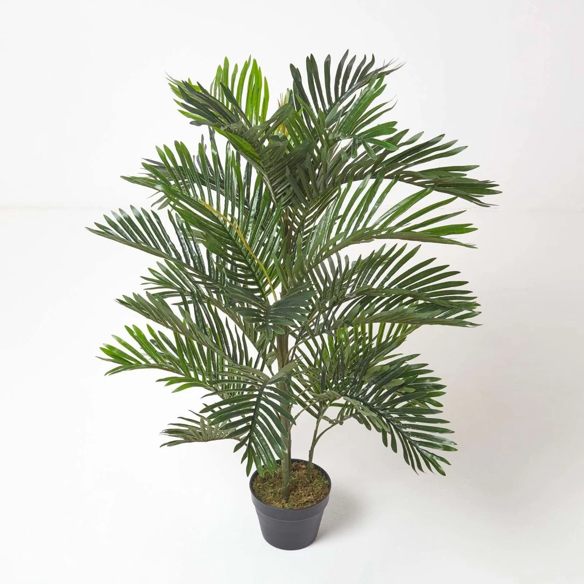 Areca Palm Tree In Pot, 120 Cm Tall
