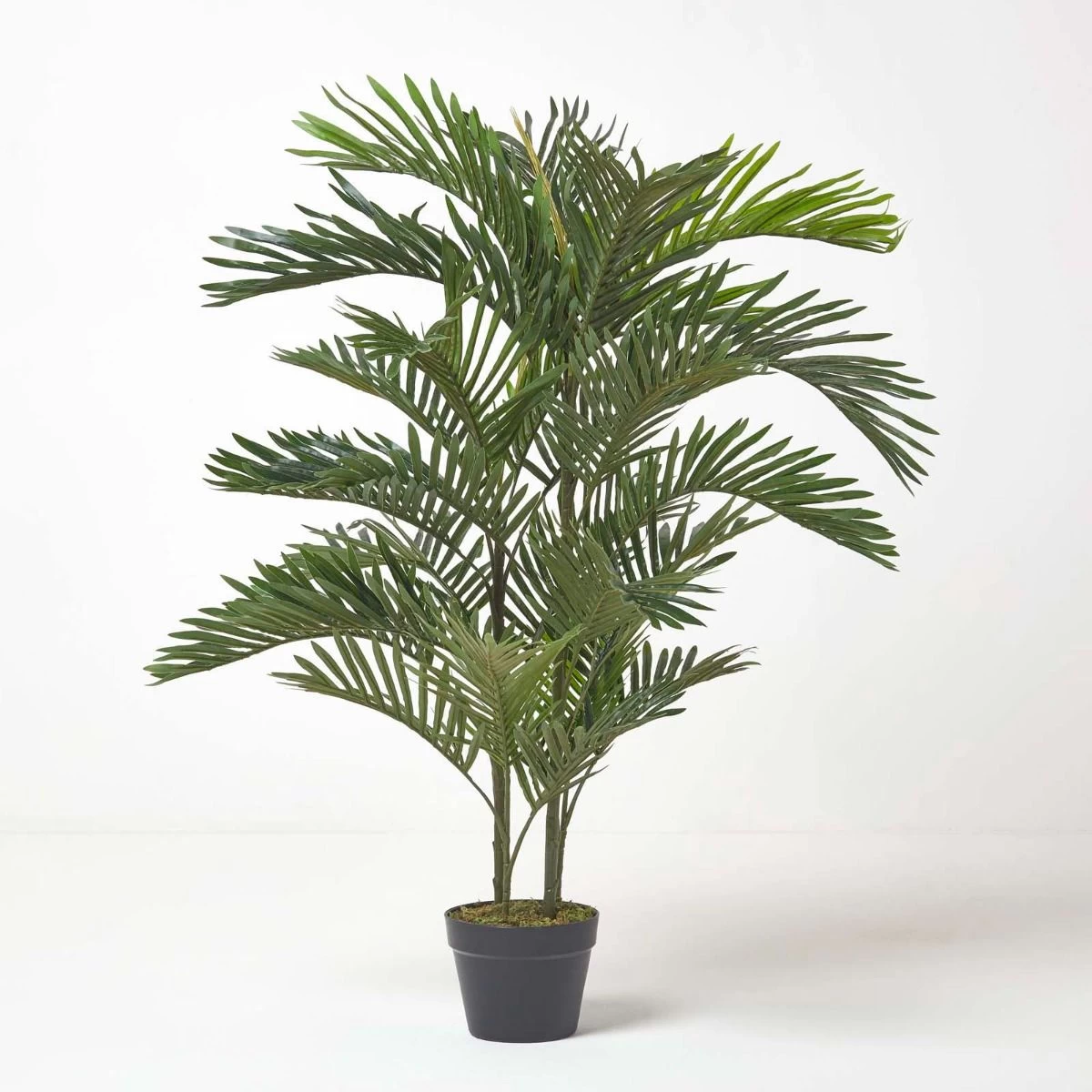 Areca Palm Tree In Pot, 120 Cm Tall - Image 5