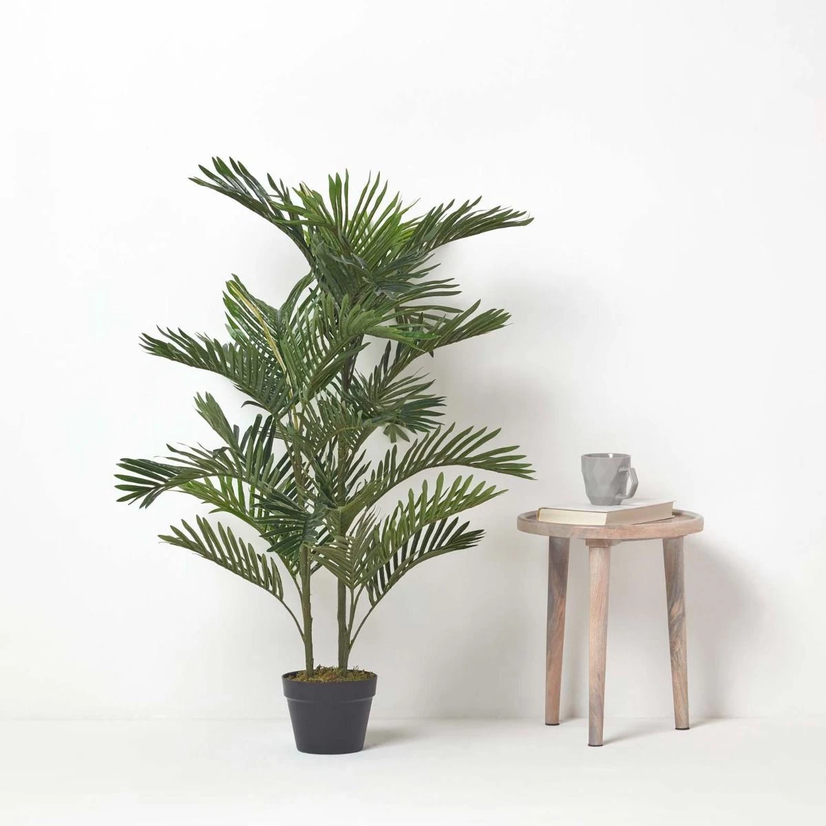 Areca Palm Tree In Pot, 120 Cm Tall - Image 6