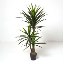 Yucca Tree In Pot, 150 Cm Tall