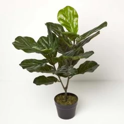 Artificial Fiddle Leaf Fig Tree In Pot, 75 Cm Tall
