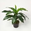 Artificial Dracaena Fragrans Dragon Tree In Pot, 65 Cm Tall