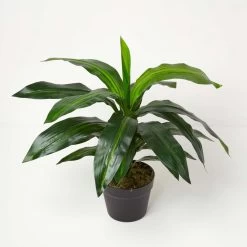 Artificial Dracaena Fragrans Dragon Tree In Pot, 65 Cm Tall