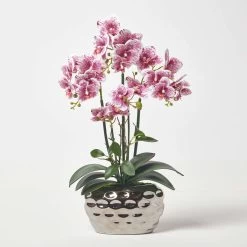 Pink Orchid 50 Cm Phalaenopsis In Silver Metal Pot