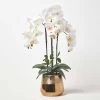 White Orchid 62 Cm Phalaenopsis In Tall Gold Metal Pot