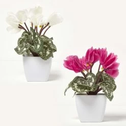 Set Of 2 Cyclamen Artificial Plant In White Pot, 24 Cm