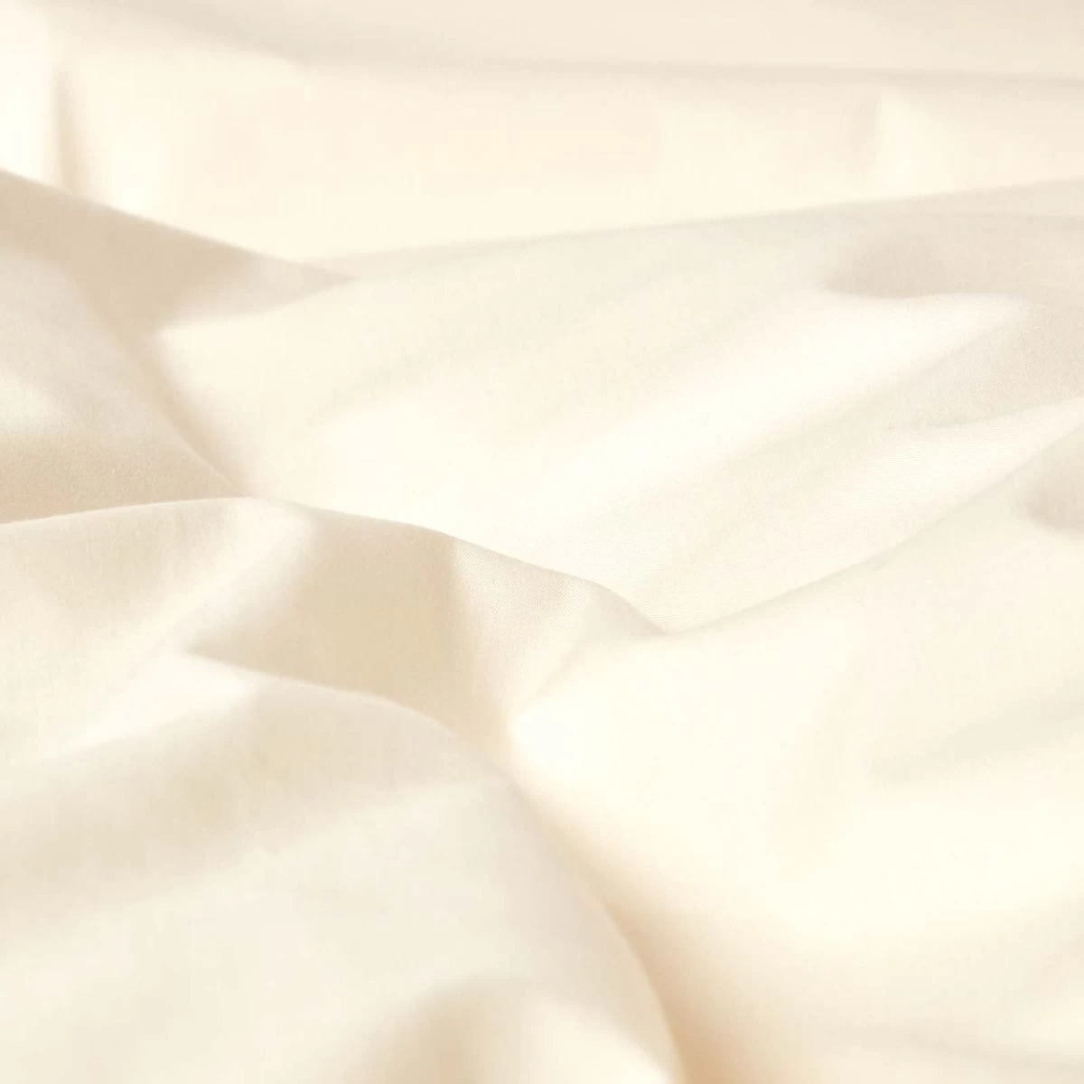 Cream Egyptian Cotton Flat Sheet 200 Thread Count - Image 2