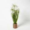 Artificial Open Flower Grass Plant In Rope Pot, 74 Cm Tall